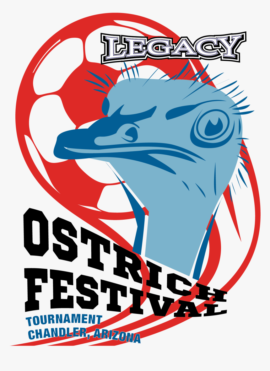 Ostrich Png, Transparent Png