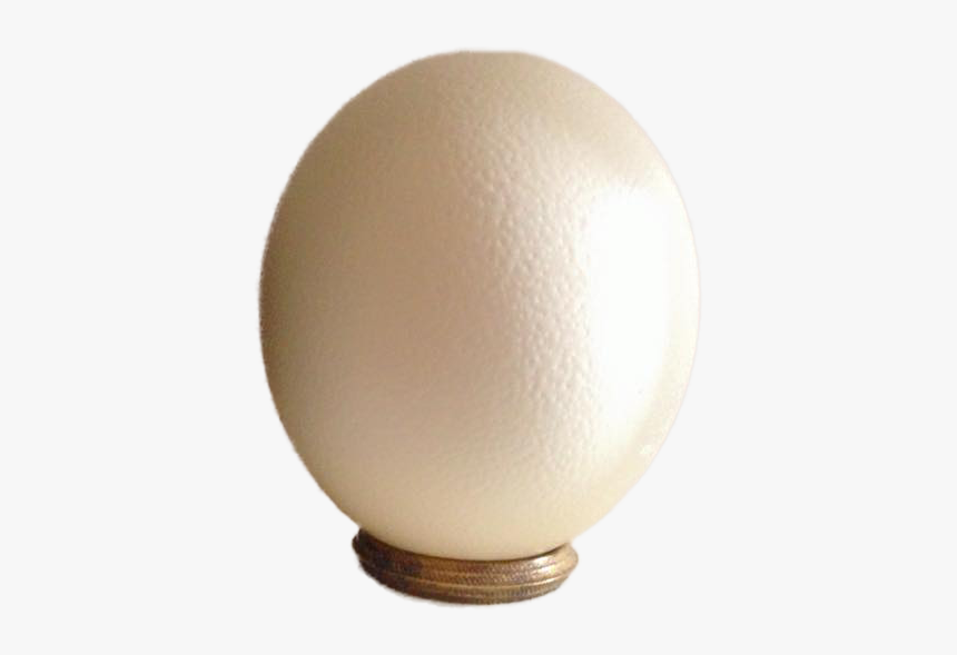Ostrich Egg Png, Transparent Png