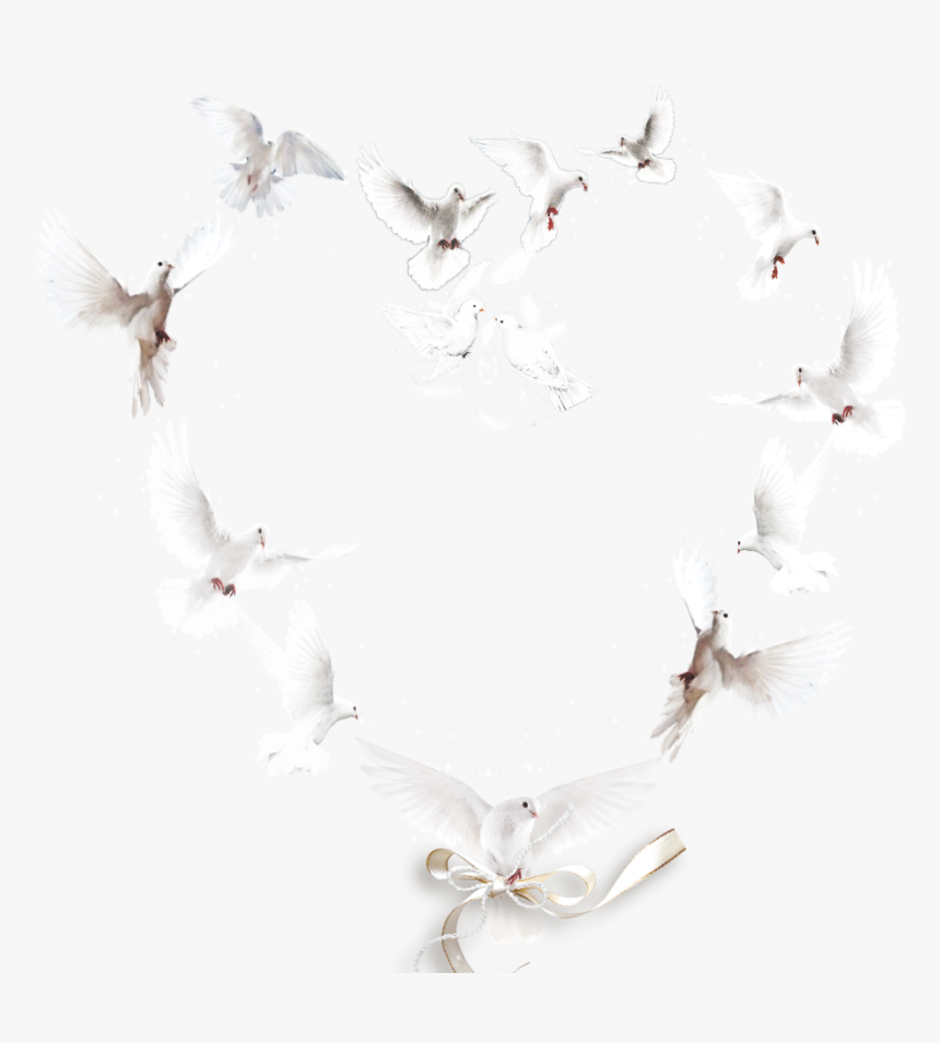 #heart #shape #doves #love #ribbons #decorative - Necklace, HD Png Download