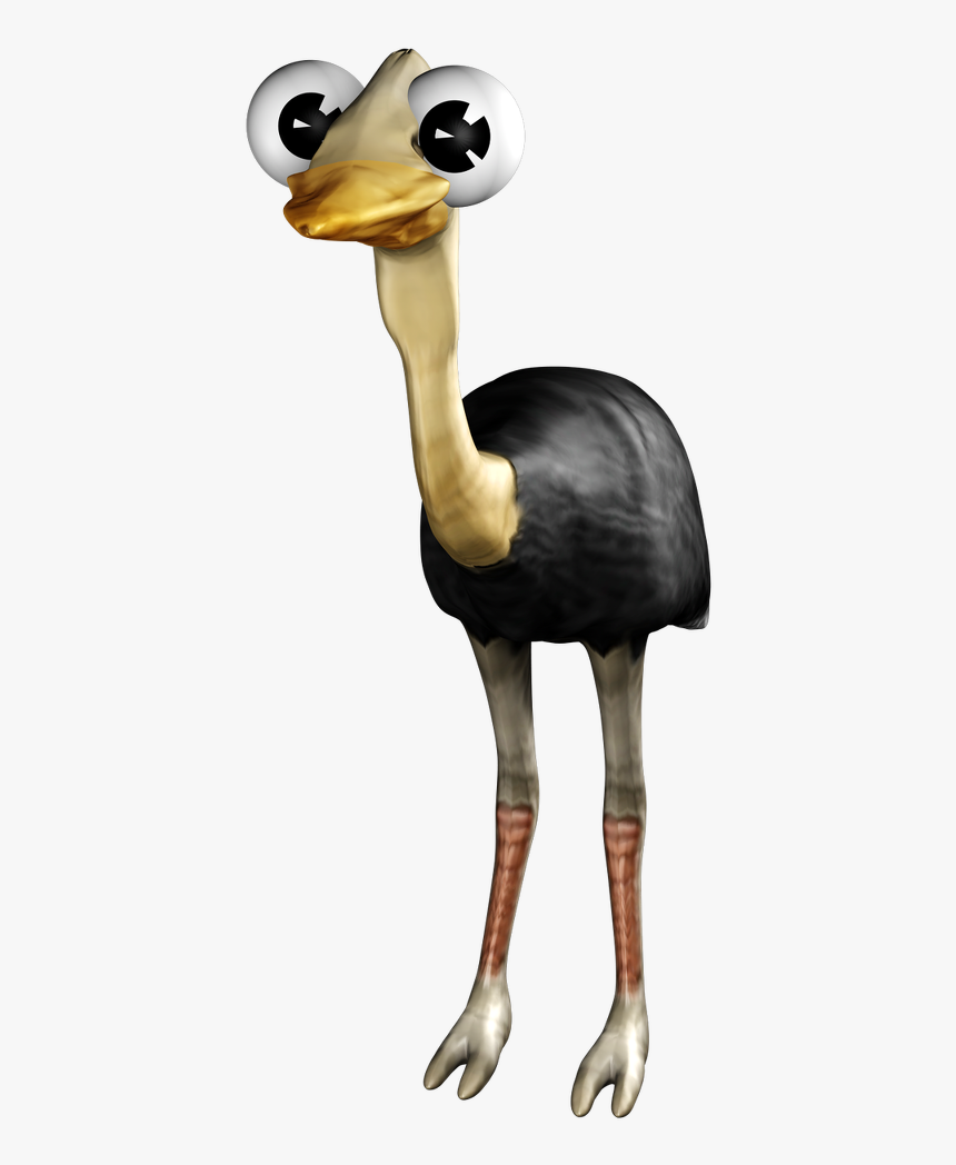 Strauß Png, Transparent Png