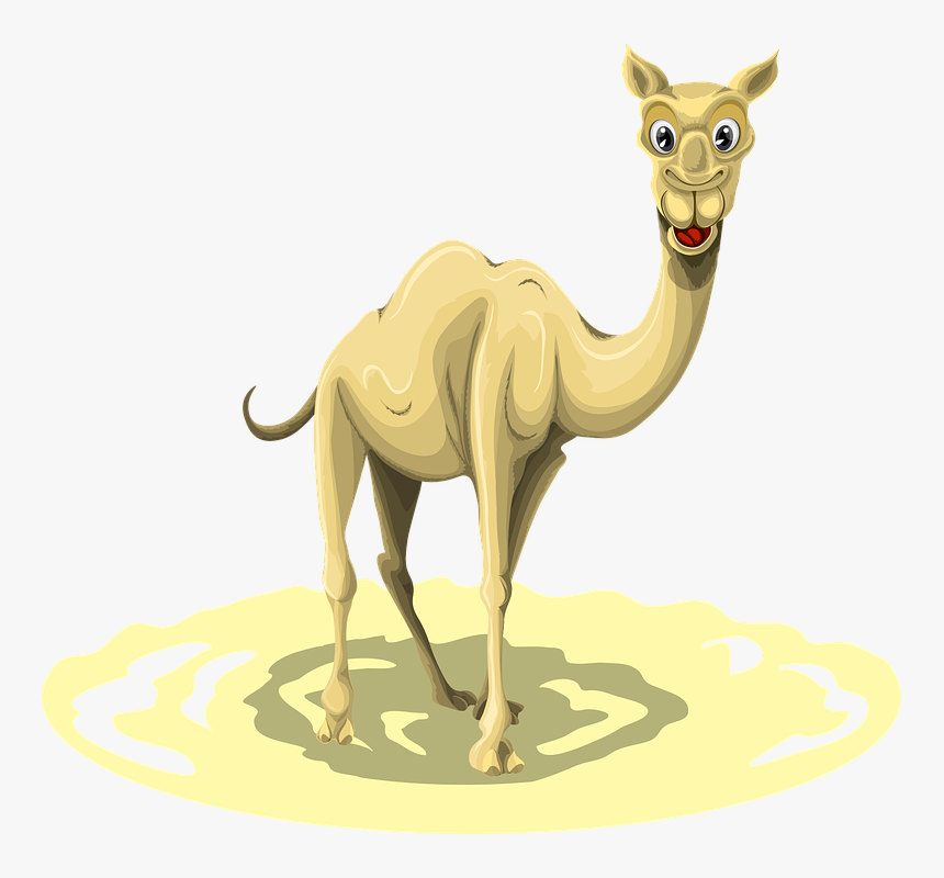 Clip Art Did You Know Interesting - Camel, HD Png Download