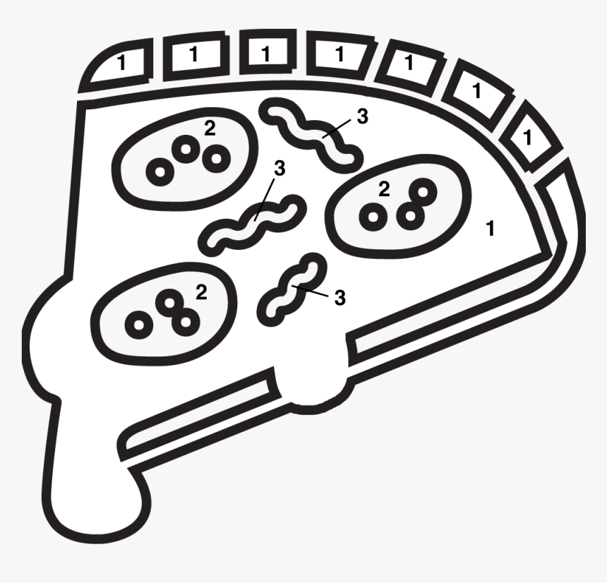 Ciclos Logo, HD Png Download