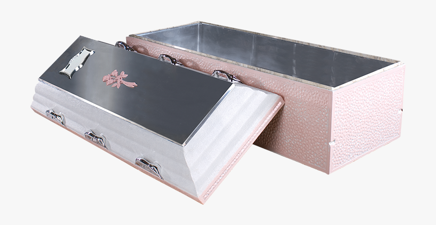 Trigard Reflection Vault, HD Png Download