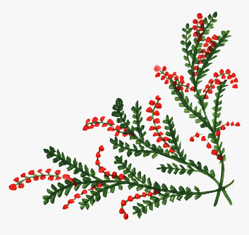 9 Flower Corner - Christmas Flowers Corner Png, Transparent Png