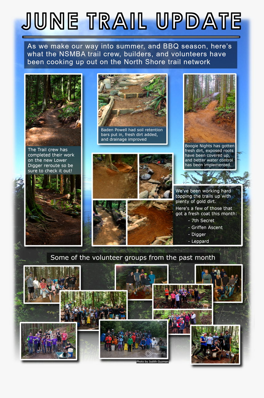 Tree, HD Png Download