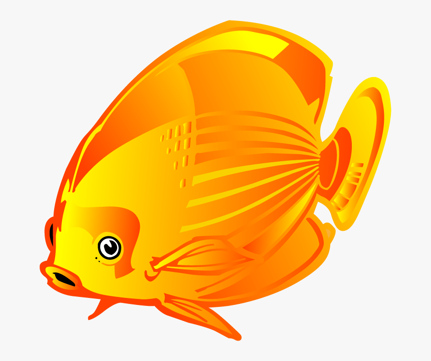 Coral Reef Fish, HD Png Download
