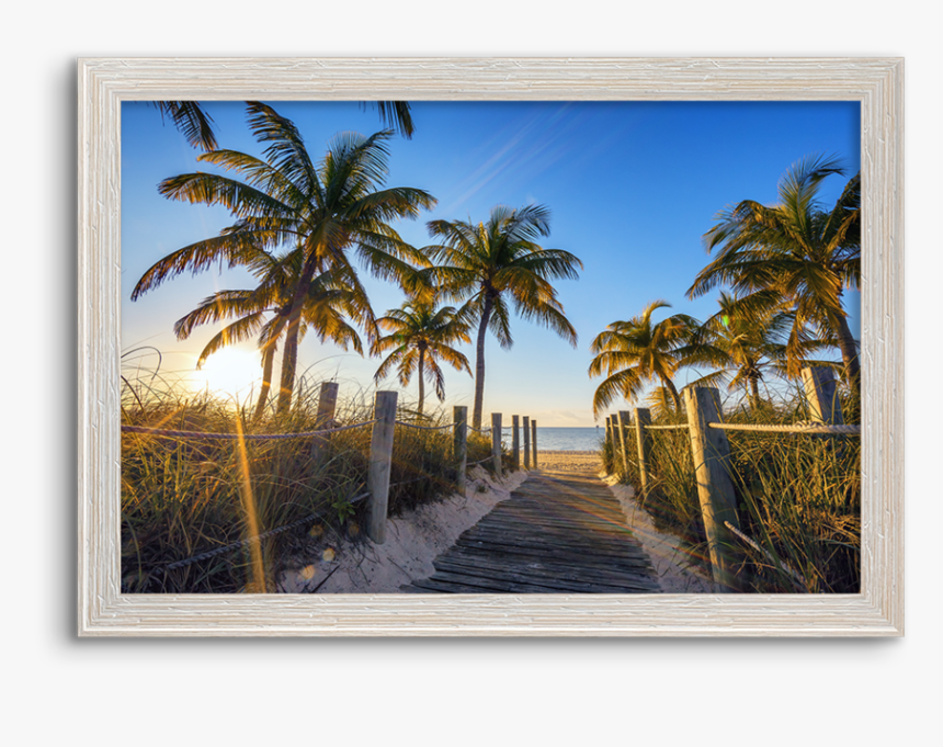 Island Party, HD Png Download