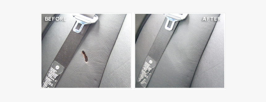 App - Smartphone, HD Png Download