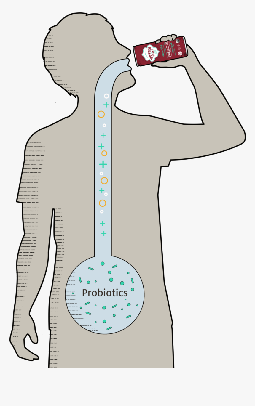 Transparent Drinking Png - Cartoon, Png Download