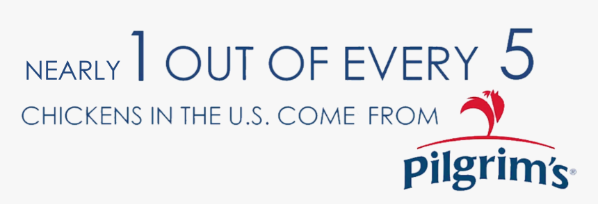 1 Out Of 5 Chickens In The Us Comes From Pilgrim S - Pilgrim's Pride, HD Png Download