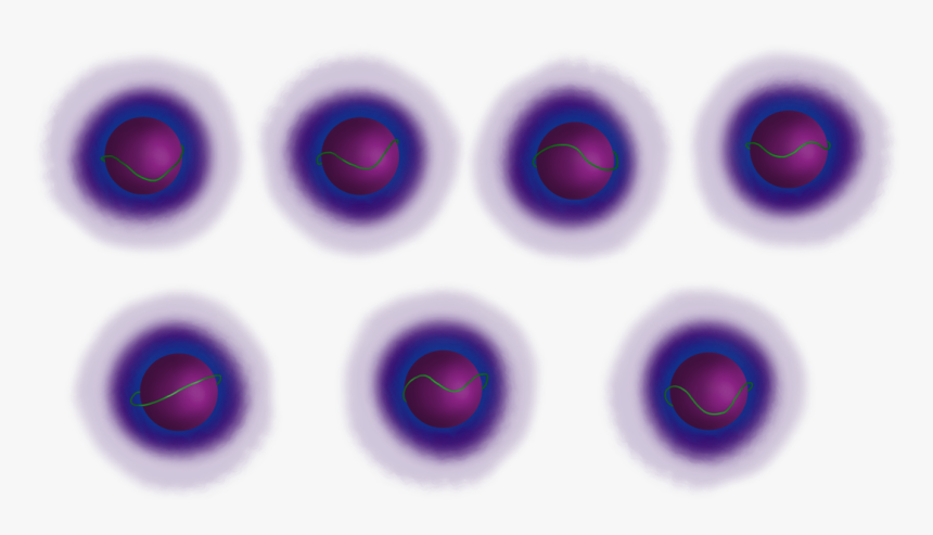 Circle, HD Png Download