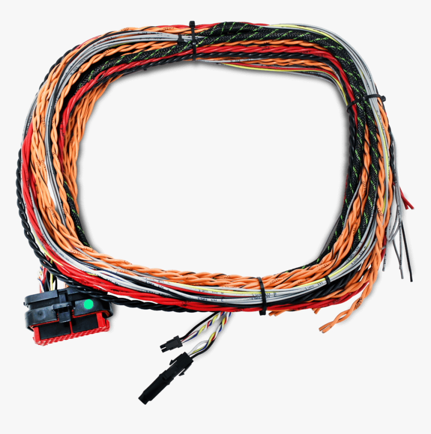 Ftspark-6 Harness - Wire, HD Png Download