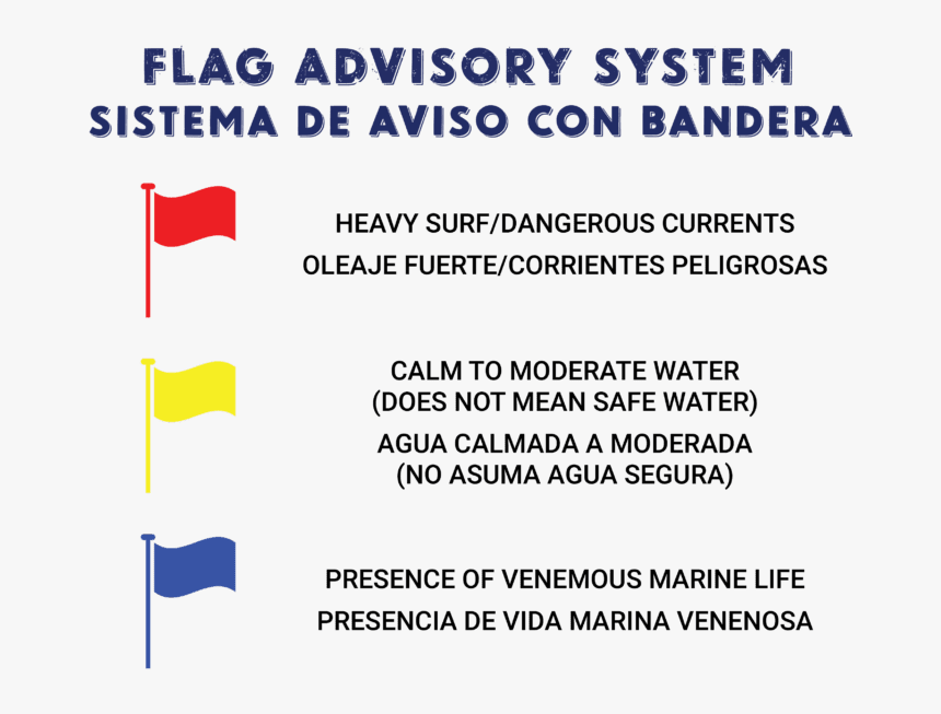 Flag, HD Png Download