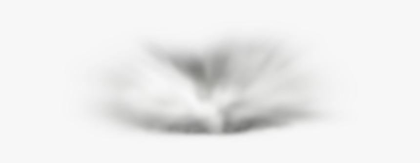 Monochrome, HD Png Download