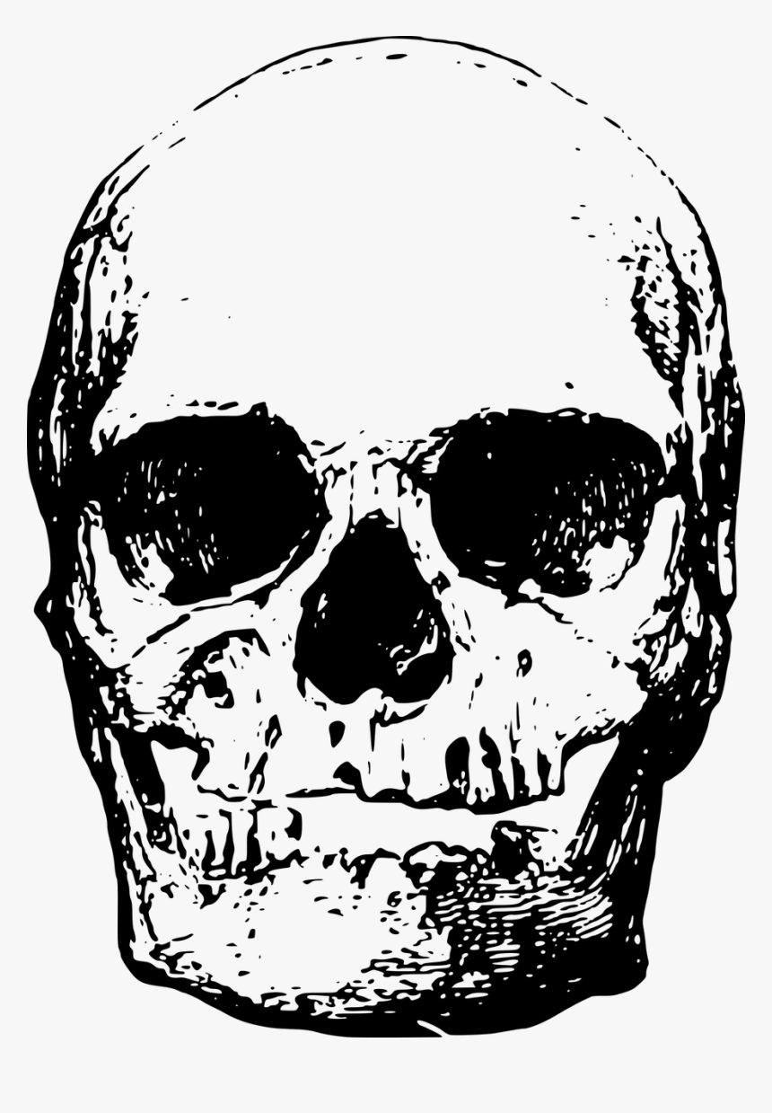 หัว กะโหลก Png, Transparent Png