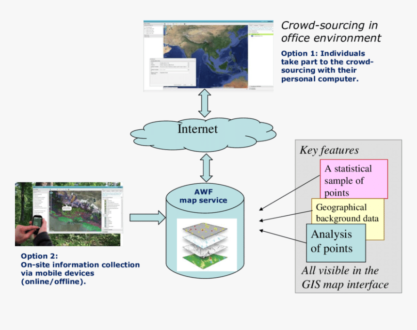 Tree, HD Png Download