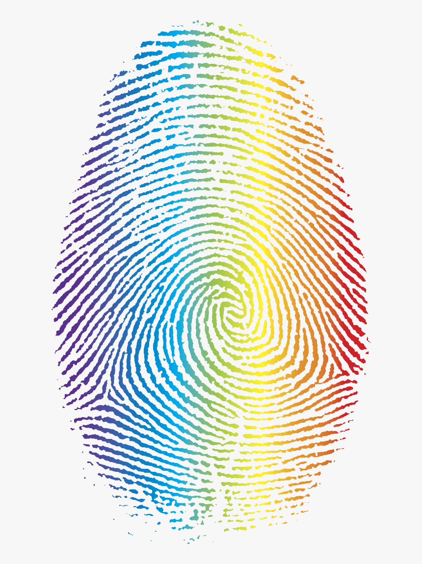 Fingerprint Clip Art - Fibonacci Sequence In Fingerprint, HD Png Download
