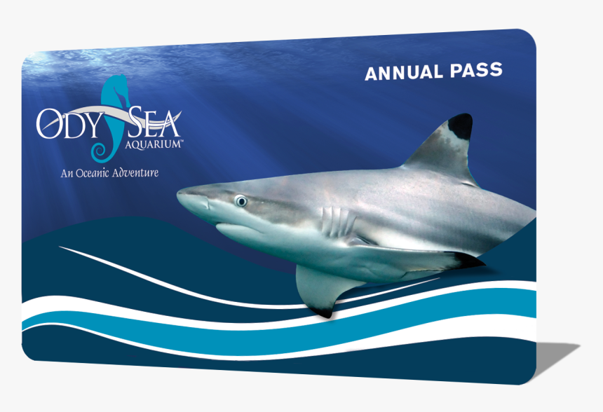 Hours And Visit - Tiger Shark, HD Png Download