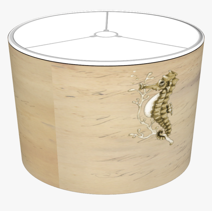 Alligator, HD Png Download