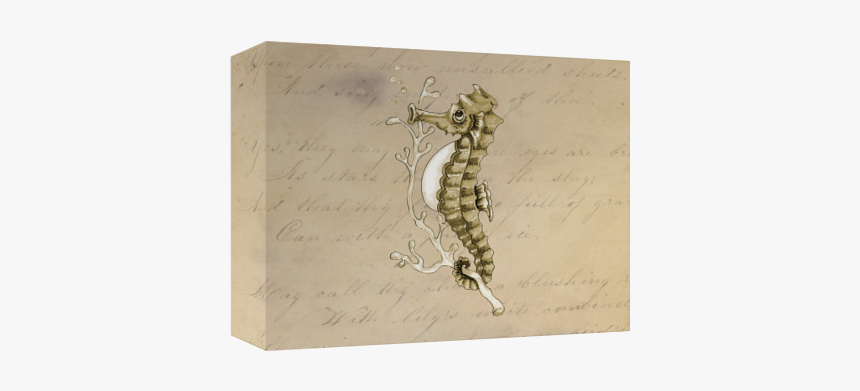 Seahorse, HD Png Download