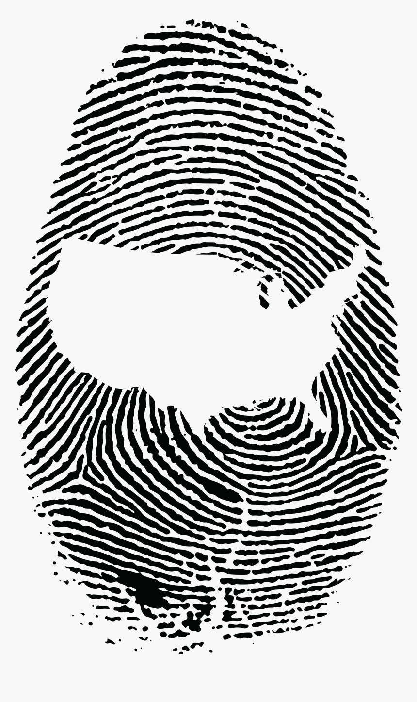 Free Clipart Of A Thumb Print With The United States - Fibonacci Sequence In Fingerprint, HD Png Download