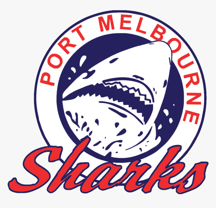 Sharks Png, Transparent Png