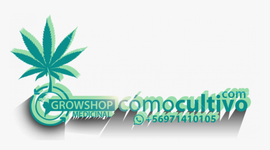 Cannabis, HD Png Download