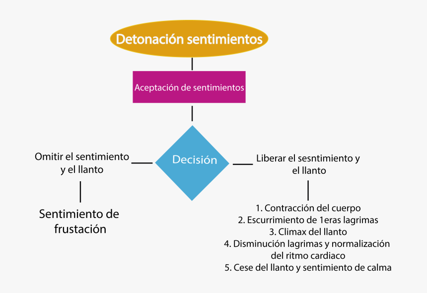 Diagram, HD Png Download