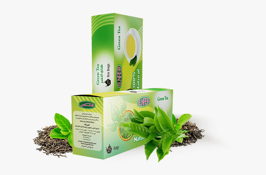 Green Tea Bags - Finch, HD Png Download