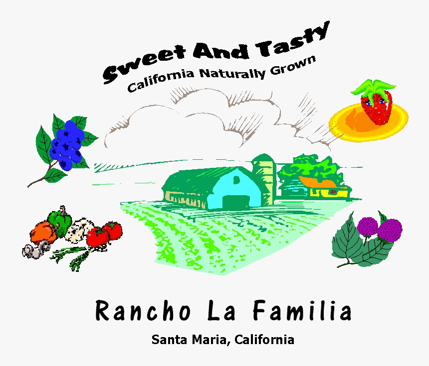 Clip Art, HD Png Download