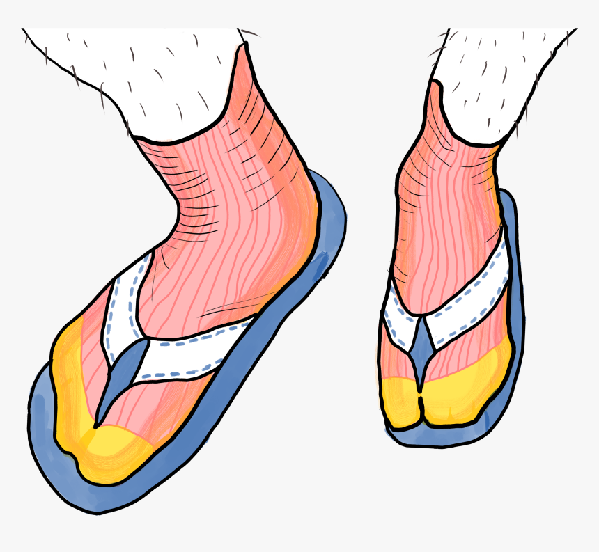 Sandals Clipart Sock Sandal , Png Download, Transparent Png