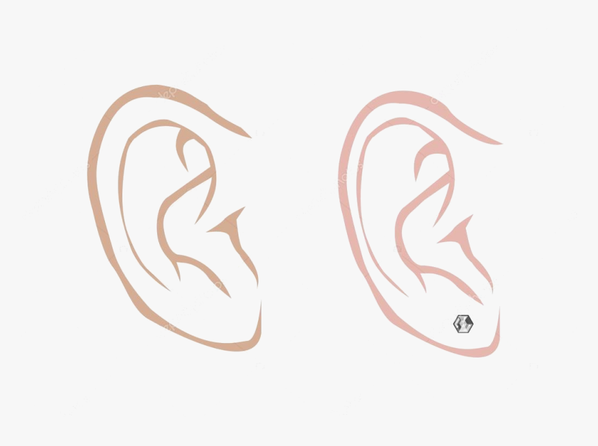 Ear Male And Female With Diamond Earring In Outline Ears Sketch Male Hd Png Download Transparent Png Image Pngitem