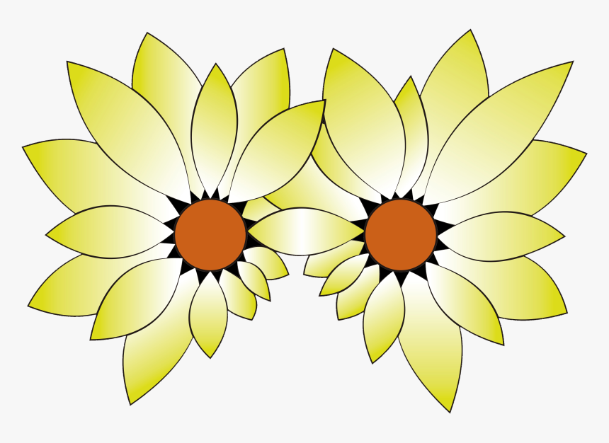 African Daisy, HD Png Download