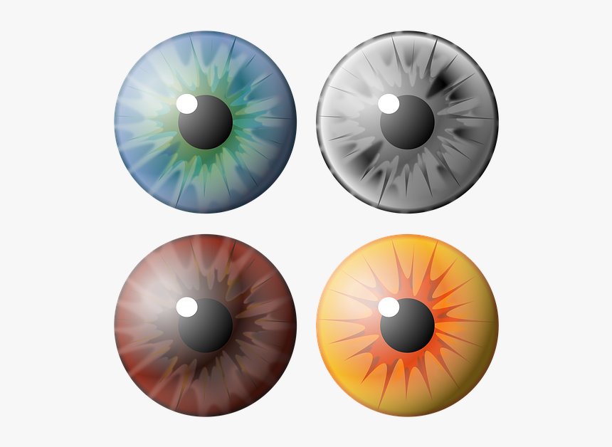 Ojo, Pupila, Iris, Ver, Visión, Ojos De Color, Azul - Pupila Ojo Png De Colores, Transparent Png