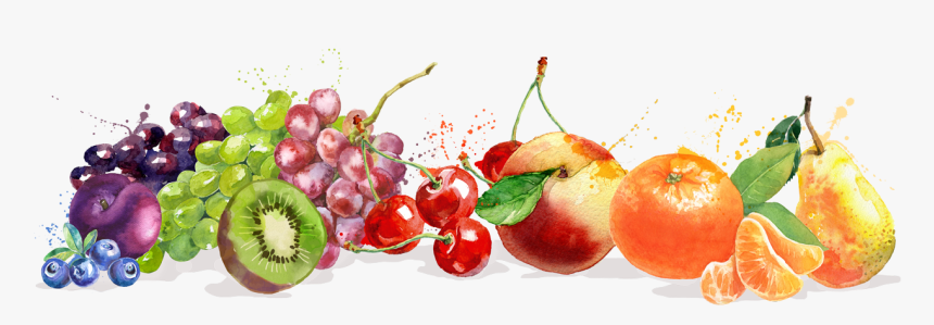 David Del Curto - Imagenes De Frutas Png, Transparent Png