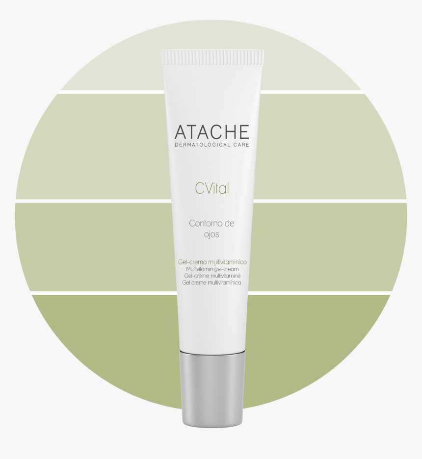 Circle, HD Png Download