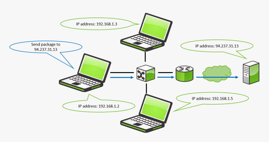 Basic Network Information Ip, HD Png Download