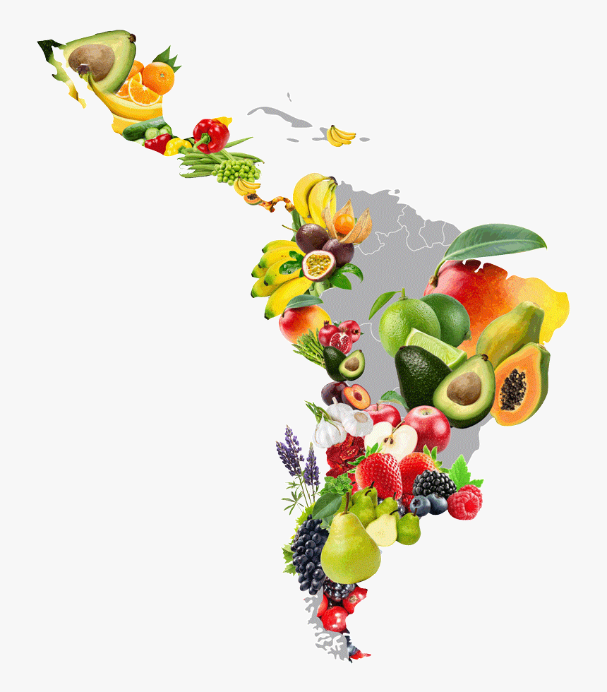 Mapa De Honduras Con Frutas, HD Png Download