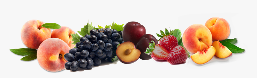 Fundos Para Banner Com Frutas, HD Png Download