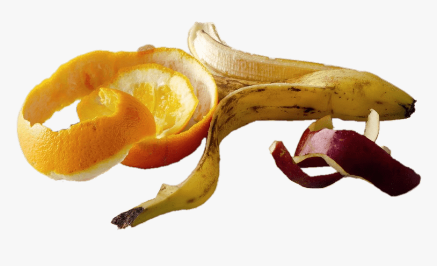 Piel De Frutas - Épluchures Fruits Et Légumes, HD Png Download