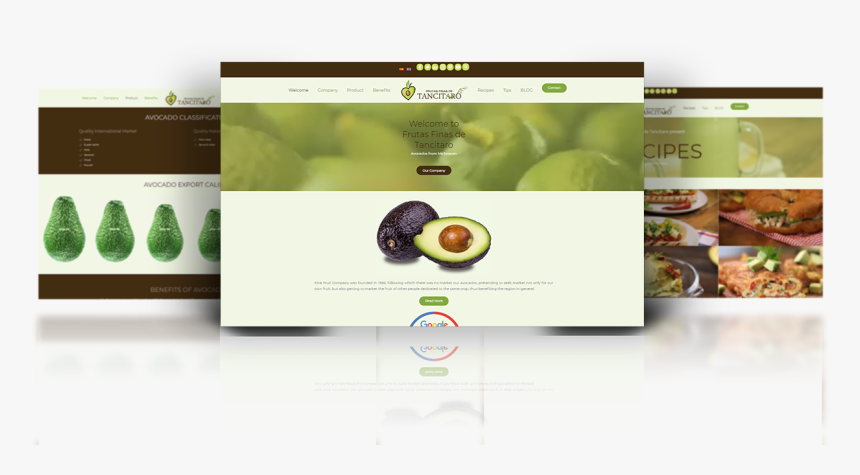 Frutas Finas De Tancitaro - Olive, HD Png Download