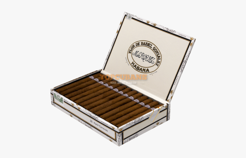 Petit Coronas - Non Plus Sancho Panza, HD Png Download