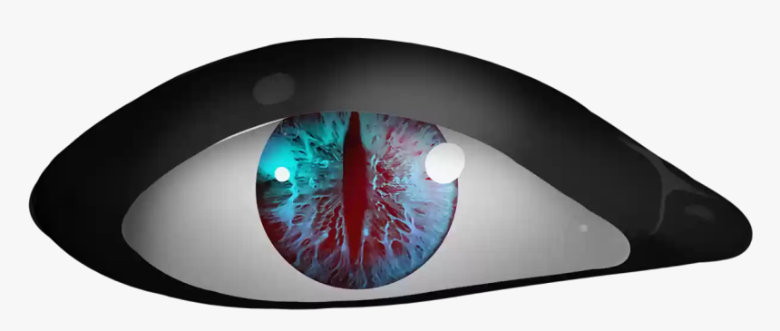 Lampshade, HD Png Download