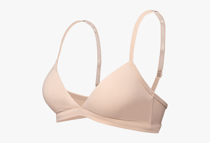 Delilah 3d Image - Brassiere, HD Png Download
