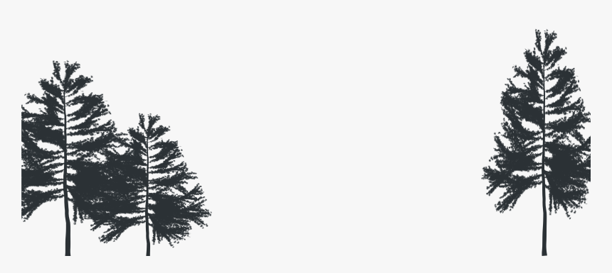 Christmas Tree , Png Download - Christmas Tree, Transparent Png