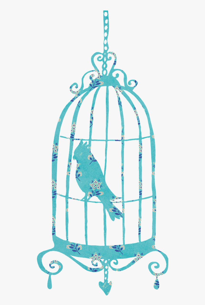 Passaro Na Gaiola Png, Transparent Png