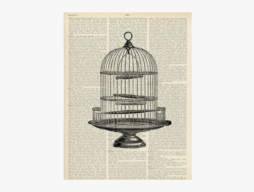 Round Pepin Design - Vintage Bird Cage Art, HD Png Download