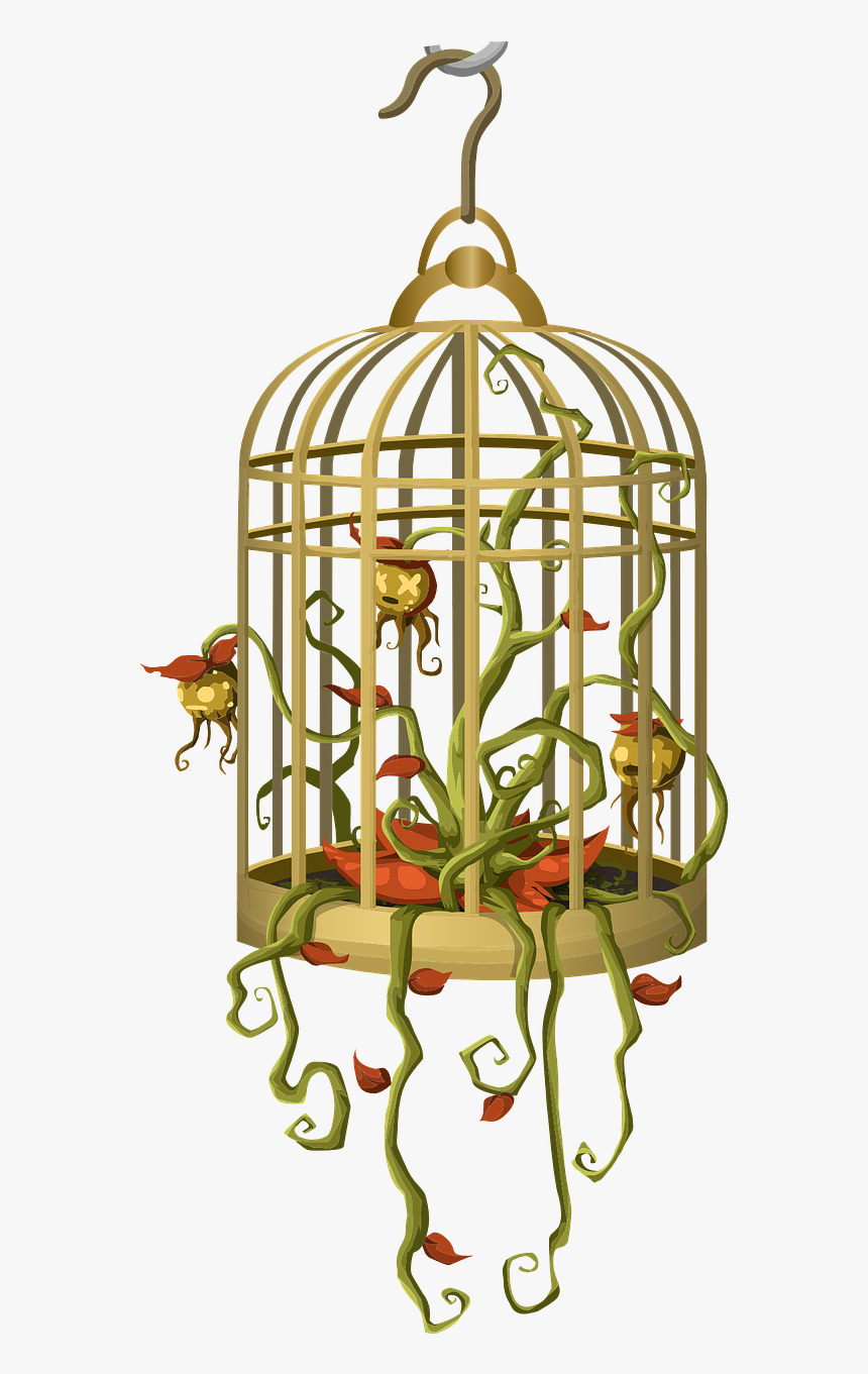 Leo Pavoni, HD Png Download