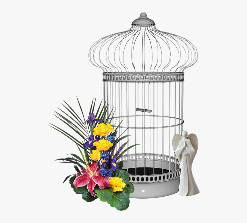Bird Cage, Yellow Flower, Flower, Yellow, Decoration - Flower, HD Png Download