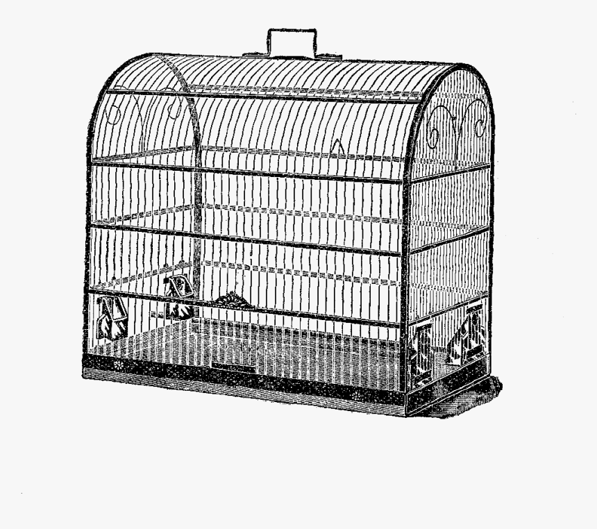 Free Bird Cage Digital Stamp - Birdcage, HD Png Download